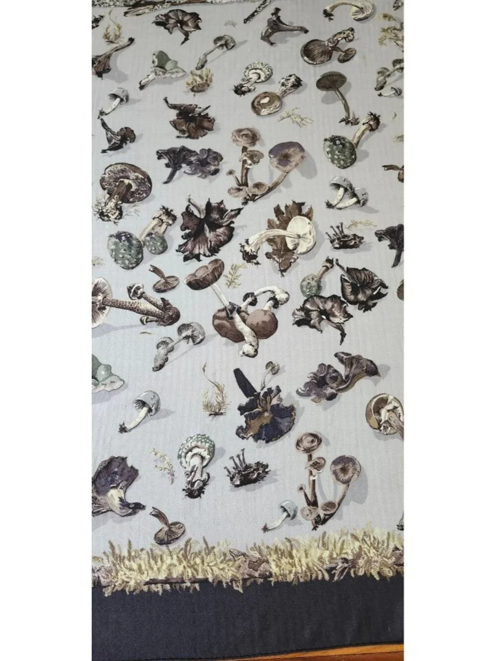 Hermès Paris Champignons Mushroom Cashmere Silk 140 Shawl Scarf Made in France